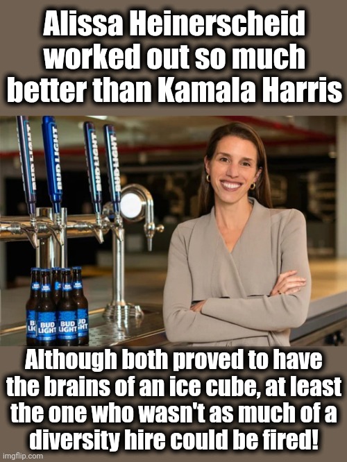 If only they could get rid of the diversity hyena | Alissa Heinerscheid worked out so much better than Kamala Harris; Although both proved to have
the brains of an ice cube, at least
the one who wasn't as much of a
diversity hire could be fired! | image tagged in memes,alissa heinerscheid,kamala harris,joe biden,diversity,incompetence | made w/ Imgflip meme maker
