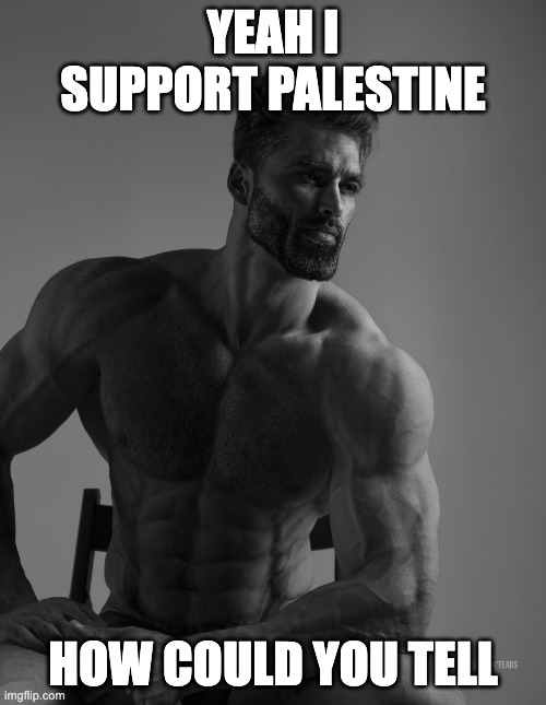 free palestine | YEAH I SUPPORT PALESTINE; HOW COULD YOU TELL | image tagged in giga chad | made w/ Imgflip meme maker