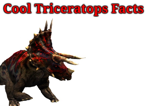 High Quality Cool Triceratops Facts Blank Meme Template