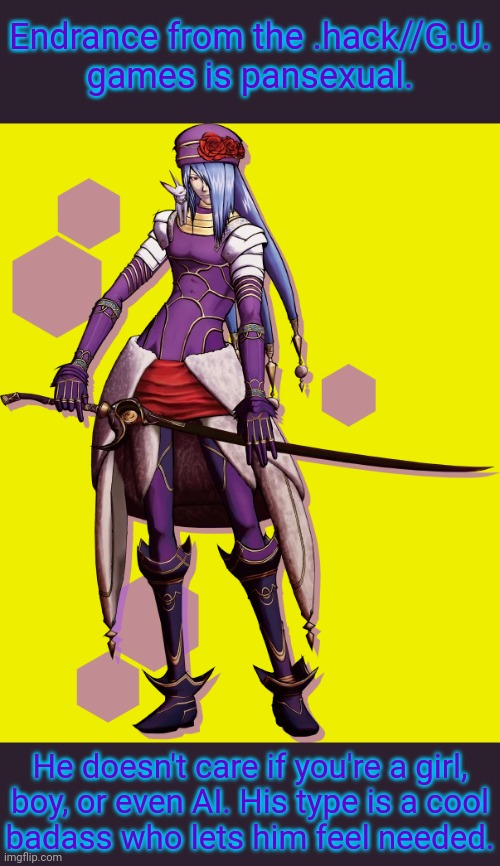 The hero can choose a female character or Endrance as a bride. | Endrance from the .hack//G.U.
games is pansexual. He doesn't care if you're a girl,
boy, or even AI. His type is a cool
badass who lets him feel needed. | image tagged in endrance,videogames,non binary | made w/ Imgflip meme maker