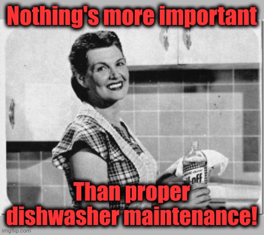 Vintage woman cooking | Nothing's more important Than proper dishwasher maintenance! | image tagged in vintage woman cooking | made w/ Imgflip meme maker