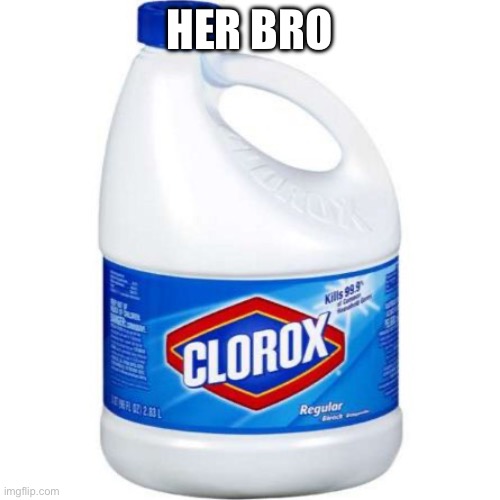 bleach | HER BRO | image tagged in bleach | made w/ Imgflip meme maker