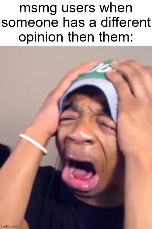 msmg users when someone has a different opinion then them: | made w/ Imgflip meme maker