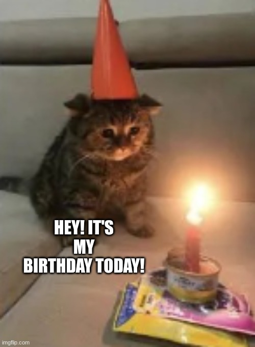 Happy birthday to meeee :)) | HEY! IT'S MY BIRTHDAY TODAY! | image tagged in memes | made w/ Imgflip meme maker