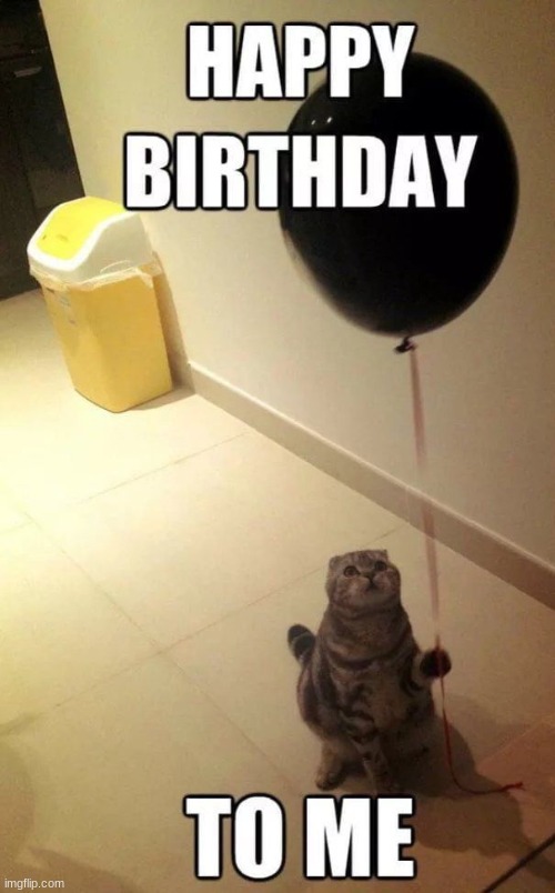 YAYA HAPPY BDAY TO ME | image tagged in memes,cats | made w/ Imgflip meme maker