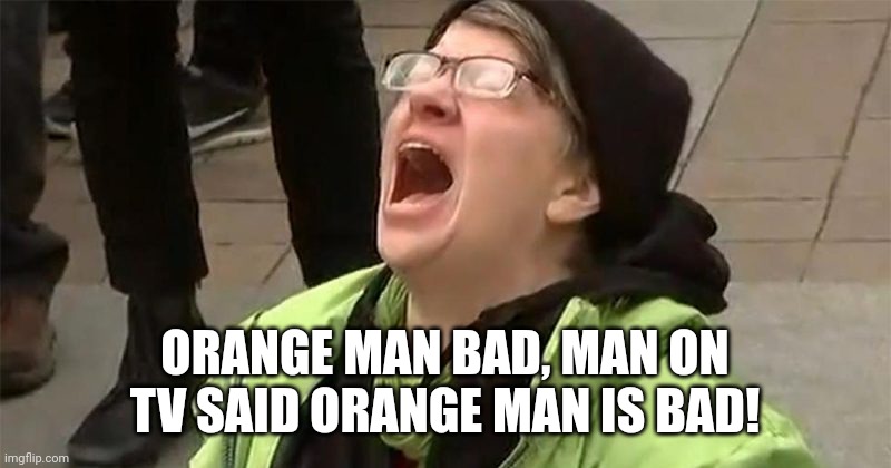 crying liberal | ORANGE MAN BAD, MAN ON TV SAID ORANGE MAN IS BAD! | image tagged in crying liberal | made w/ Imgflip meme maker