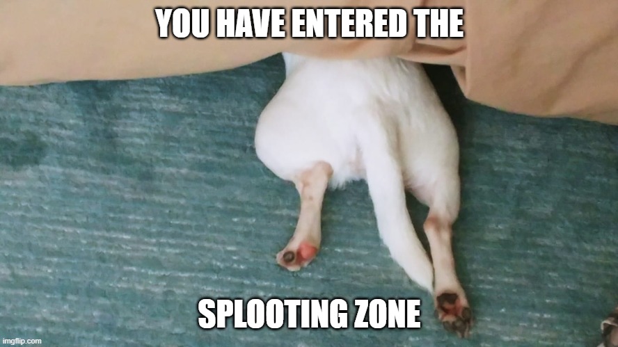 YOU HAVE ENTERED THE; SPLOOTING ZONE | made w/ Imgflip meme maker