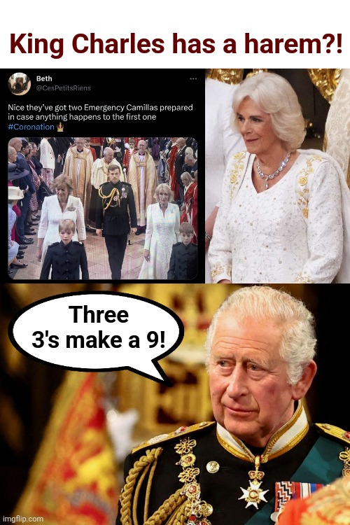 King Charles has a harem?! Three 3's make a 9! | image tagged in memes,coronation,king charles,harem,camilla | made w/ Imgflip meme maker