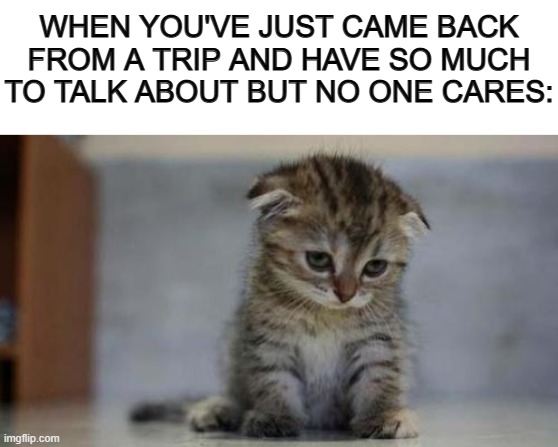 *Sob* | WHEN YOU'VE JUST CAME BACK FROM A TRIP AND HAVE SO MUCH TO TALK ABOUT BUT NO ONE CARES: | image tagged in blank white template,sad kitten | made w/ Imgflip meme maker