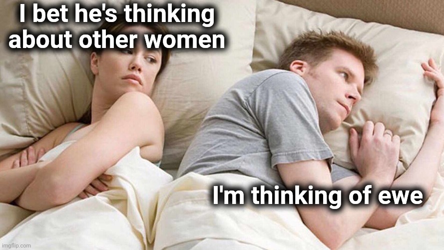 I Bet He's Thinking About Other Women Meme | I bet he's thinking about other women I'm thinking of ewe | image tagged in memes,i bet he's thinking about other women | made w/ Imgflip meme maker