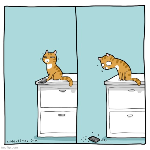 A Cat's Way Of Thinking | image tagged in memes,comics/cartoons,cats,cell phone,push,break | made w/ Imgflip meme maker