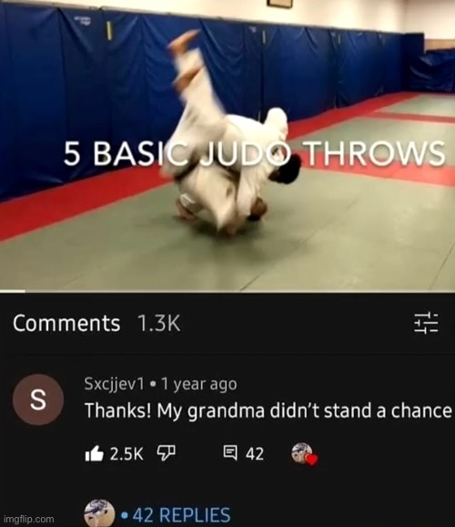 Grandpa, it’s your turn | image tagged in grandma,judo,comments | made w/ Imgflip meme maker