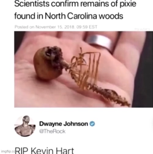 RIP Kevin ?? | image tagged in sad,kevin hart,rip | made w/ Imgflip meme maker
