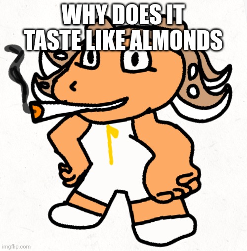 Side order agent 8 smokes a fat blunt | WHY DOES IT TASTE LIKE ALMONDS | image tagged in side order agent 8 smokes a fat blunt | made w/ Imgflip meme maker