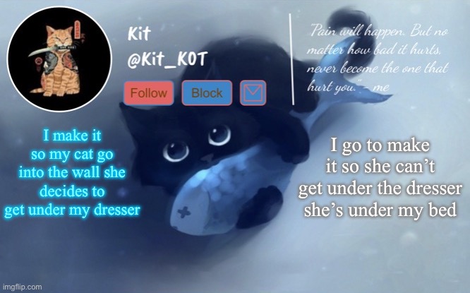 Why are cats like this? (Can’t go into the wall*) | I make it so my cat go into the wall she decides to get under my dresser; I go to make it so she can’t get under the dresser she’s under my bed | made w/ Imgflip meme maker