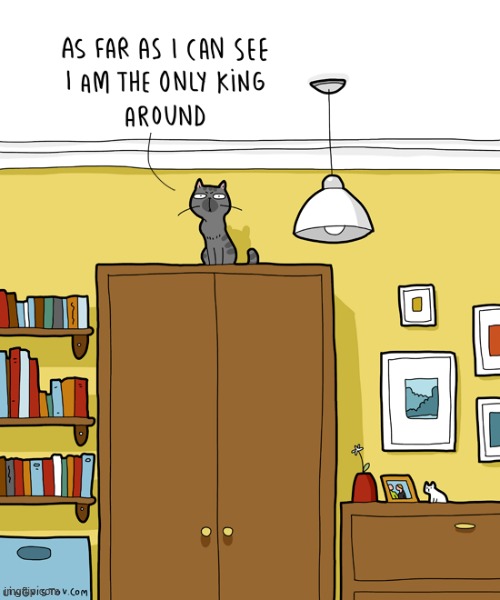 A Cat's Way Of Thinking | image tagged in memes,comics/cartoons,cats,only,king,around | made w/ Imgflip meme maker