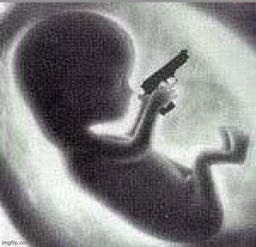 random ahh template | image tagged in gunsforfetuses | made w/ Imgflip meme maker