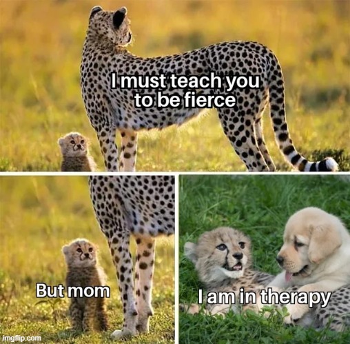 image tagged in memes | made w/ Imgflip meme maker