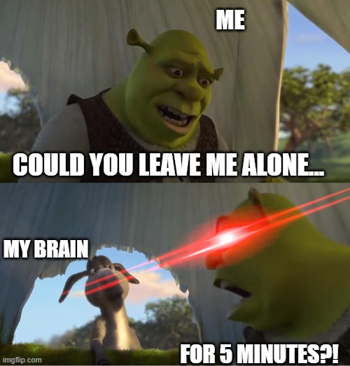 Internal Struggle | ME; COULD YOU LEAVE ME ALONE... MY BRAIN; FOR 5 MINUTES?! | image tagged in shrek for five minutes | made w/ Imgflip meme maker