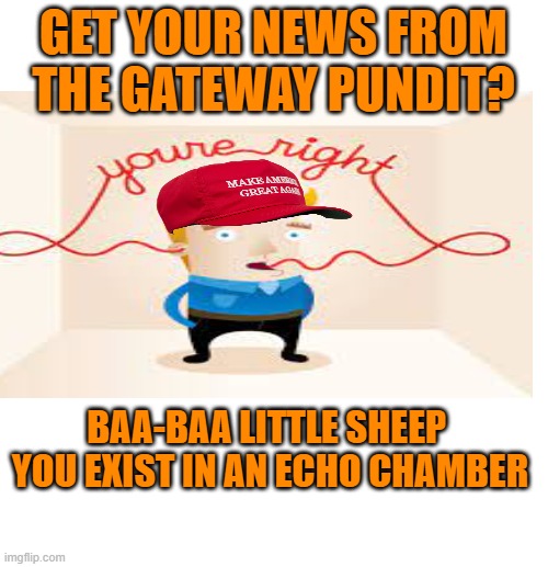 GET YOUR NEWS FROM THE GATEWAY PUNDIT? BAA-BAA LITTLE SHEEP 
YOU EXIST IN AN ECHO CHAMBER | made w/ Imgflip meme maker