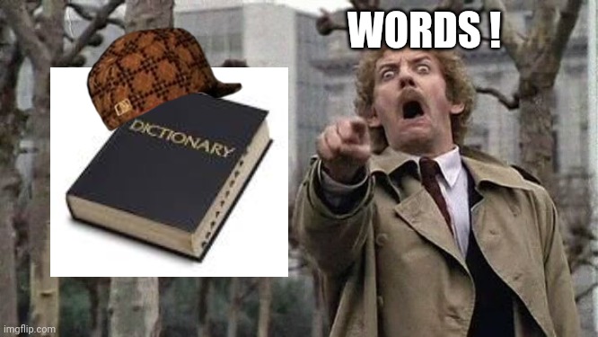 Horror | WORDS ! | image tagged in horror | made w/ Imgflip meme maker