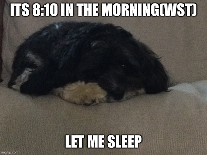 he wants sleep | ITS 8:10 IN THE MORNING(WST); LET ME SLEEP | image tagged in dogs,sleep | made w/ Imgflip meme maker