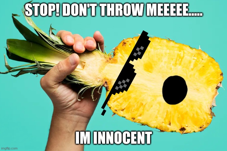 Pinapple!!!! | STOP! DON'T THROW MEEEEE..... IM INNOCENT | image tagged in food,pineapple | made w/ Imgflip meme maker