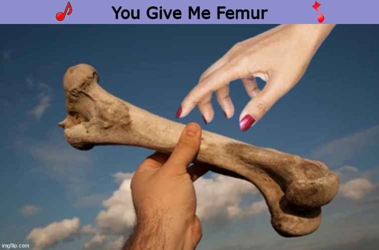 You Gve Me Femur | image tagged in you give me femur,you give me fever,song,bone,bad pun,memes | made w/ Imgflip meme maker