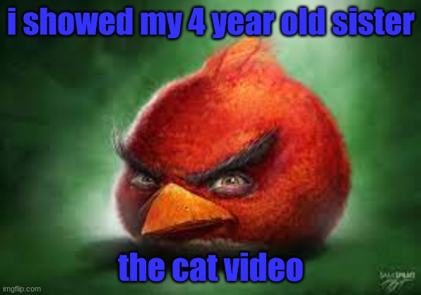 Realistic Red Angry Birds | i showed my 4 year old sister; the cat video | image tagged in realistic red angry birds | made w/ Imgflip meme maker