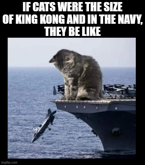 Yup. | IF CATS WERE THE SIZE
OF KING KONG AND IN THE NAVY,
THEY BE LIKE | image tagged in cats,us navy,funny cats,big cats | made w/ Imgflip meme maker