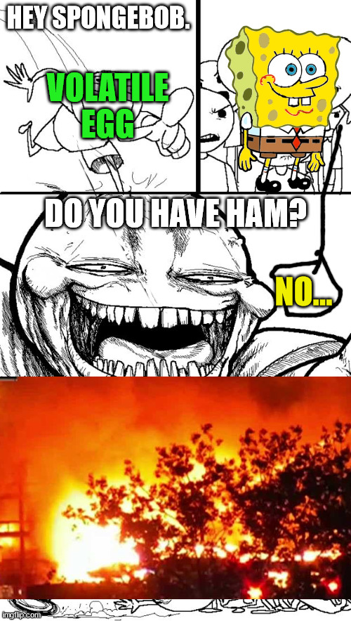 based off absulotenutcase182 comics | HEY SPONGEBOB. VOLATILE EGG; DO YOU HAVE HAM? NO... | image tagged in memes,hey internet | made w/ Imgflip meme maker