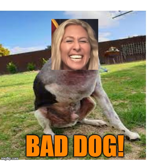 BAD DOG! | made w/ Imgflip meme maker