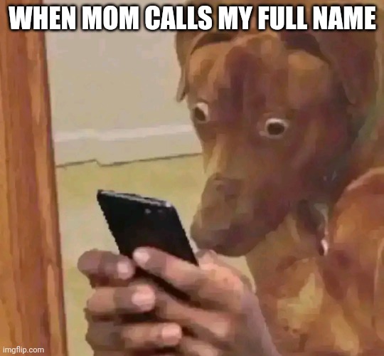Fr tho that is spoopy | WHEN MOM CALLS MY FULL NAME | image tagged in oh no,help,crap | made w/ Imgflip meme maker