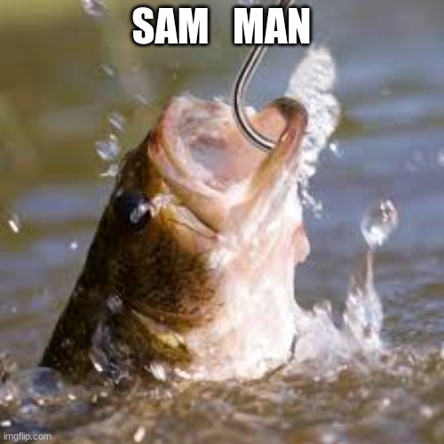 fish hook | SAM   MAN | image tagged in fish hook | made w/ Imgflip meme maker