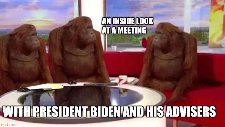 where monkey | AN INSIDE LOOK AT A MEETING; WITH PRESIDENT BIDEN AND HIS ADVISERS | image tagged in where monkey | made w/ Imgflip meme maker