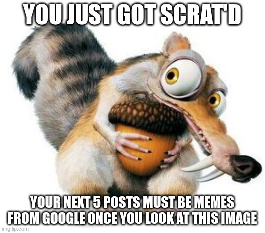 scrat weekend ice age | YOU JUST GOT SCRAT'D; YOUR NEXT 5 POSTS MUST BE MEMES FROM GOOGLE ONCE YOU LOOK AT THIS IMAGE | image tagged in scrat weekend ice age | made w/ Imgflip meme maker