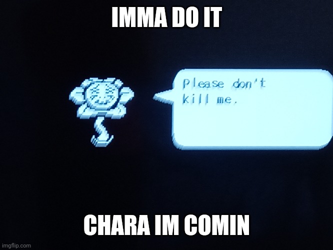 IMMA DO IT; CHARA IM COMIN | made w/ Imgflip meme maker