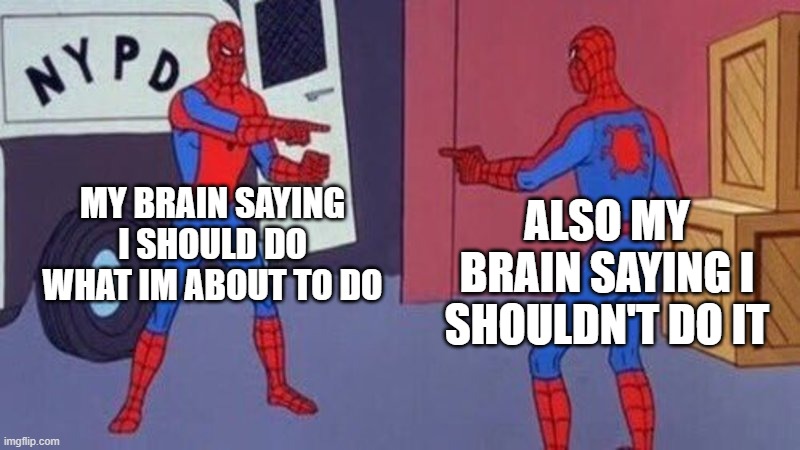 spiderman | MY BRAIN SAYING I SHOULD DO WHAT IM ABOUT TO DO; ALSO MY BRAIN SAYING I SHOULDN'T DO IT | image tagged in spiderman pointing at spiderman | made w/ Imgflip meme maker