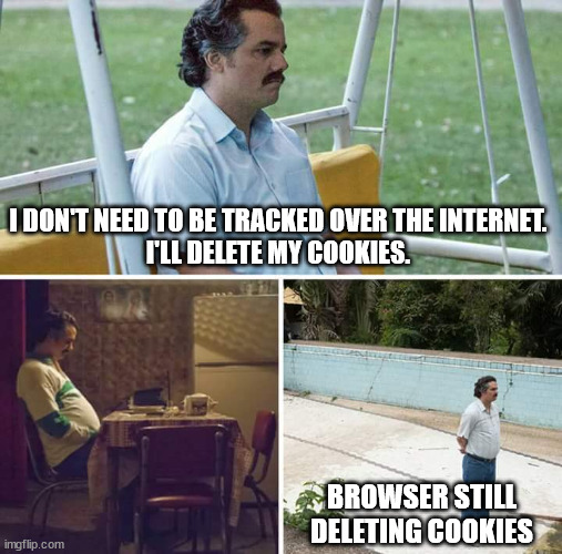 Why do they need to store so much? | I DON'T NEED TO BE TRACKED OVER THE INTERNET.
I'LL DELETE MY COOKIES. BROWSER STILL DELETING COOKIES | image tagged in memes,sad pablo escobar,cookies,delete,browser history | made w/ Imgflip meme maker