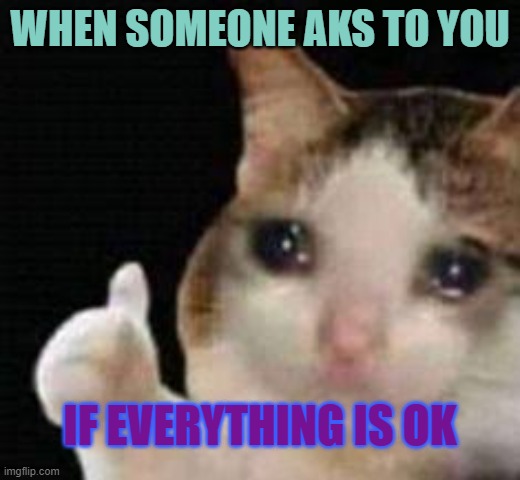 I'm depressed, but it's ok | WHEN SOMEONE AKS TO YOU; IF EVERYTHING IS OK | image tagged in approved crying cat | made w/ Imgflip meme maker
