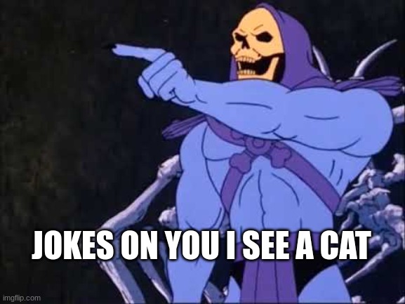 Skeletor | JOKES ON YOU I SEE A CAT | image tagged in skeletor | made w/ Imgflip meme maker