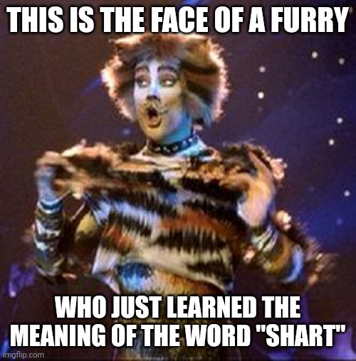 Cats | THIS IS THE FACE OF A FURRY; WHO JUST LEARNED THE MEANING OF THE WORD "SHART" | image tagged in cats | made w/ Imgflip meme maker
