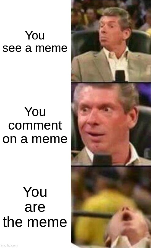 Vince McMahon  | You see a meme; You comment on a meme; You are the meme | image tagged in vince mcmahon | made w/ Imgflip meme maker
