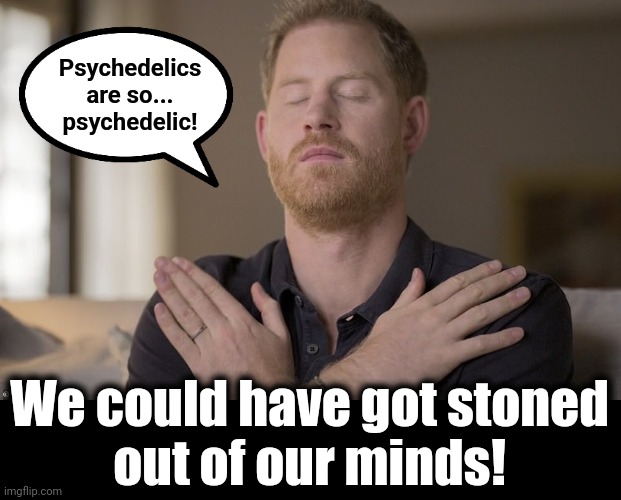 Prince Harry | Psychedelics
are so...
psychedelic! We could have got stoned
out of our minds! | image tagged in prince harry | made w/ Imgflip meme maker