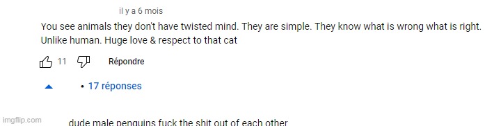 for context the video is about a cat biting a gay flag | made w/ Imgflip meme maker