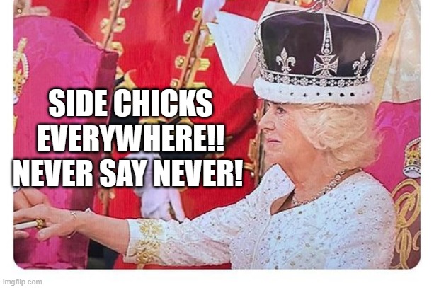 Side Chicks Everywhere!! Never Say Never!!! | SIDE CHICKS EVERYWHERE!! NEVER SAY NEVER! | image tagged in never give up | made w/ Imgflip meme maker