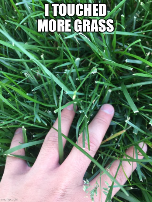 :) | I TOUCHED MORE GRASS | made w/ Imgflip meme maker