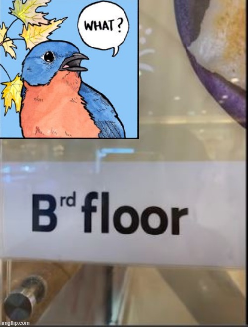 Brd Floor? | image tagged in you had one job | made w/ Imgflip meme maker