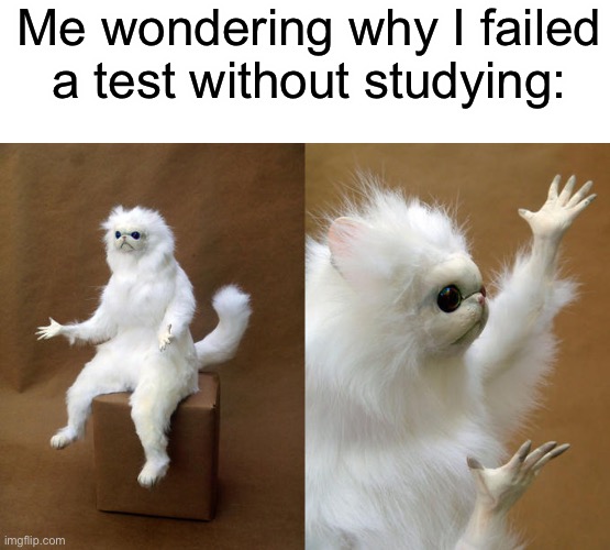 Why did I fail? | Me wondering why I failed a test without studying: | image tagged in memes,persian cat room guardian,funny,school | made w/ Imgflip meme maker