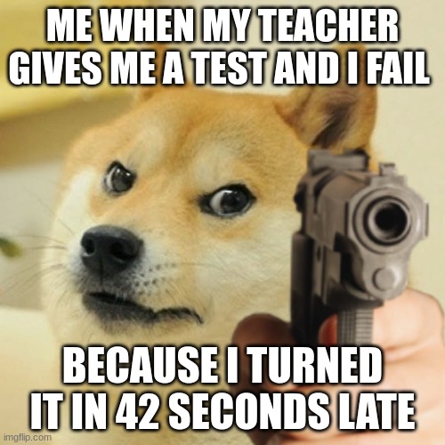 Doge holding a gun | ME WHEN MY TEACHER GIVES ME A TEST AND I FAIL; BECAUSE I TURNED IT IN 42 SECONDS LATE | image tagged in doge holding a gun | made w/ Imgflip meme maker